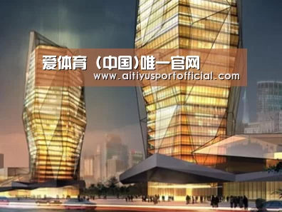 案例展示三