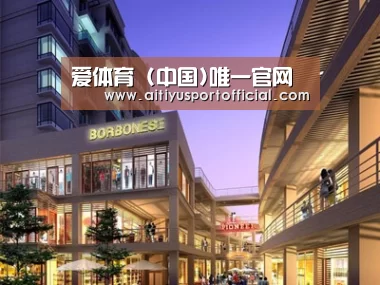 案例展示一