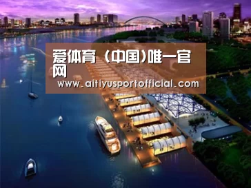 案例展示八