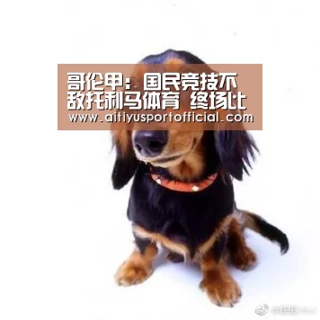 爱体育娱乐