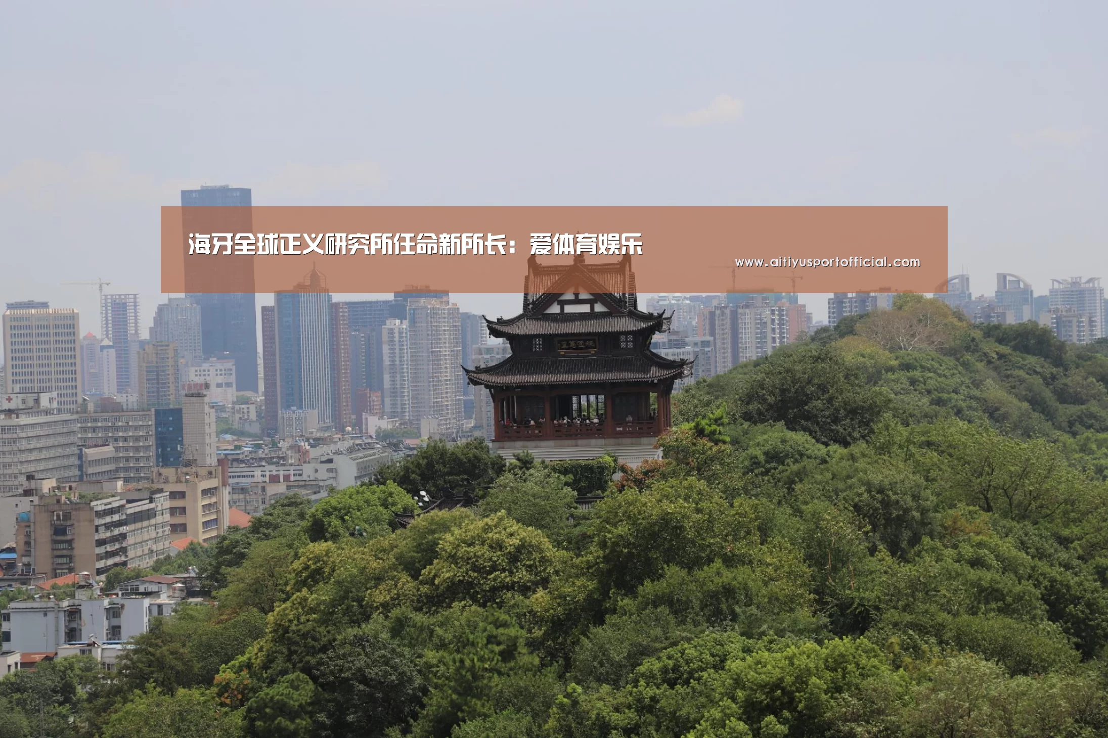 海牙全球正义研究所任命新所长:爱体育娱乐(图2) 爱体育官方