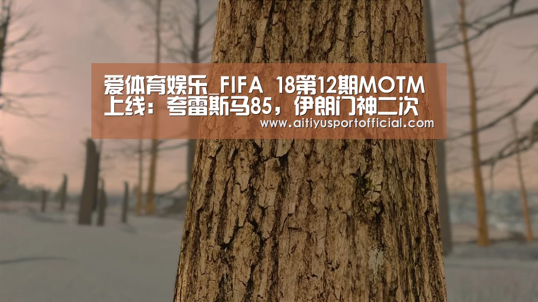 爱体育娱乐_FIFA 18第12期MOTM上线:夸雷斯马85,伊朗门神二次上榜(图1) 爱体育娱乐