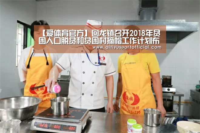 【爱体育官方】回龙镇召开2018年贫困人口脱贫和贫困村摘帽工作计划布置会(图4) 爱体育