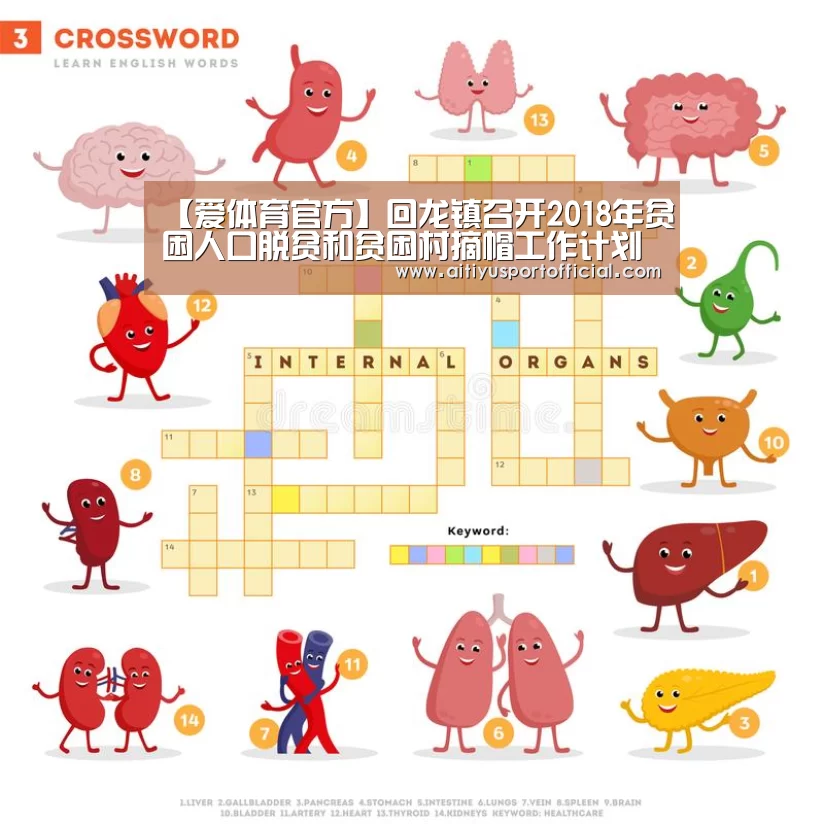【爱体育官方】回龙镇召开2018年贫困人口脱贫和贫困村摘帽工作计划布置会(图2) 爱体育娱乐
